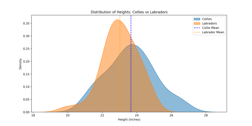 Data visualization comparing the heights of 50 collies and 50 labradors, with a p-value of 0.0111 indicating a statistically significant difference in height between the breeds.