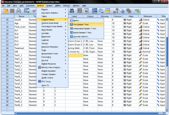 One-Sample T-Test in SPSS