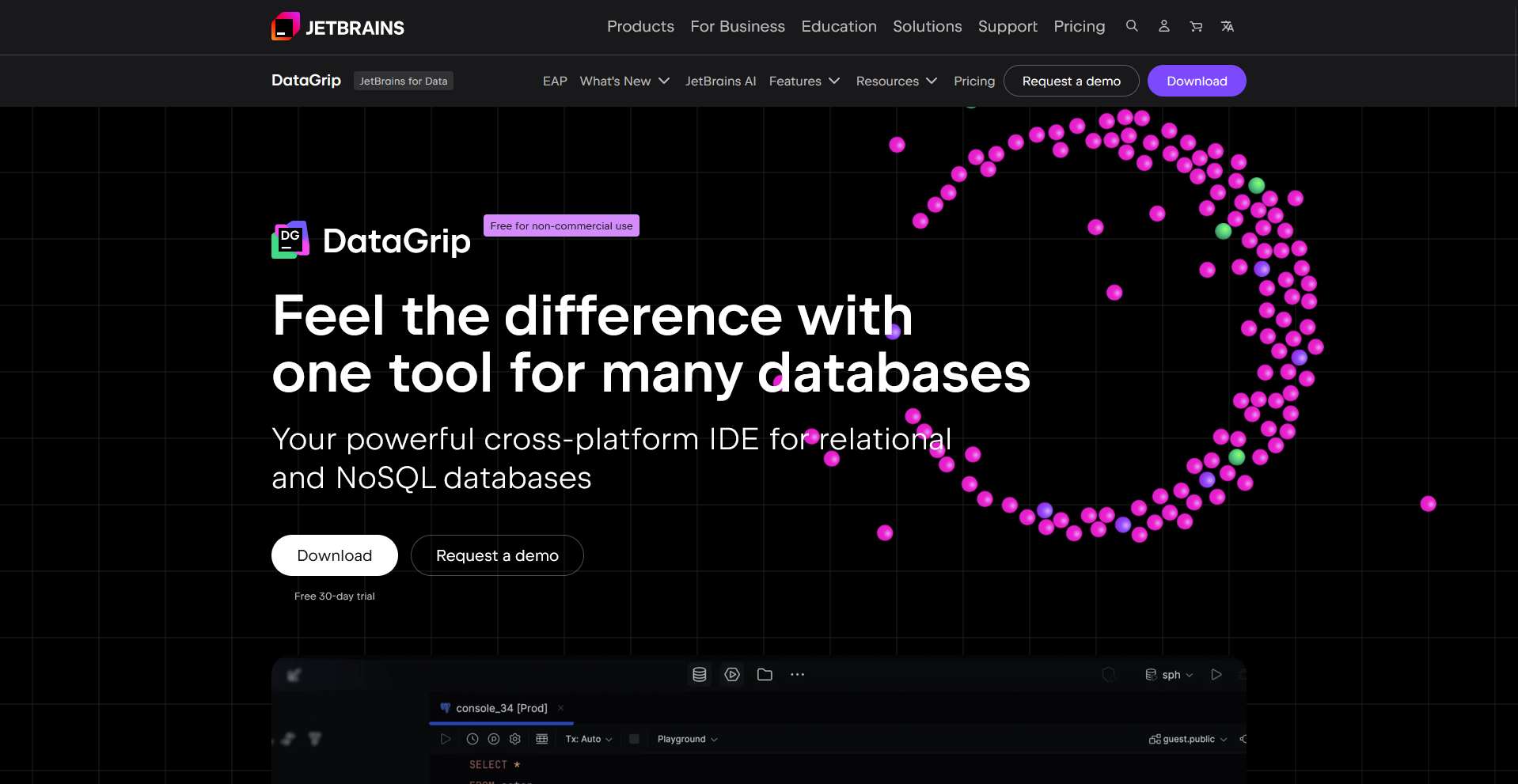 Datagrip homepage