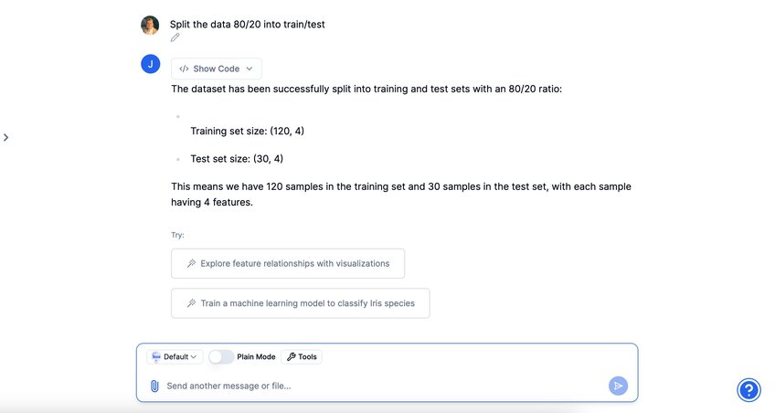 Splitting the dataset 80/20 within Julius AI