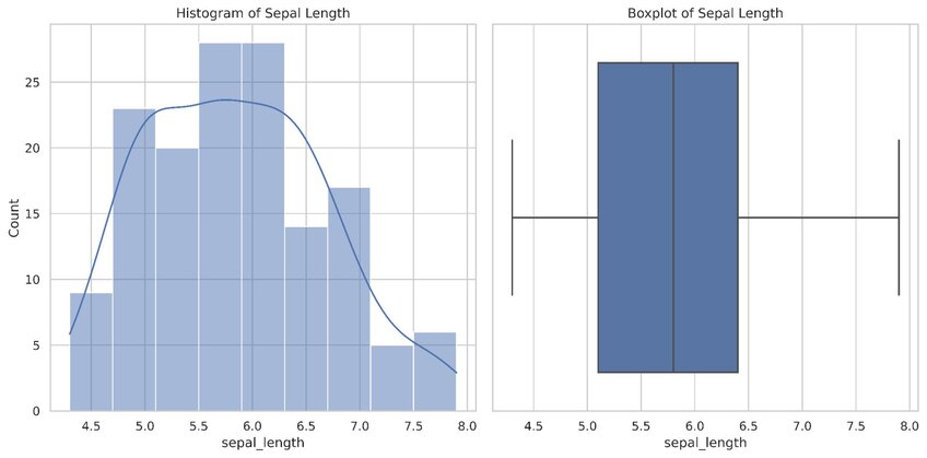 Histogram and box plot data visualizations