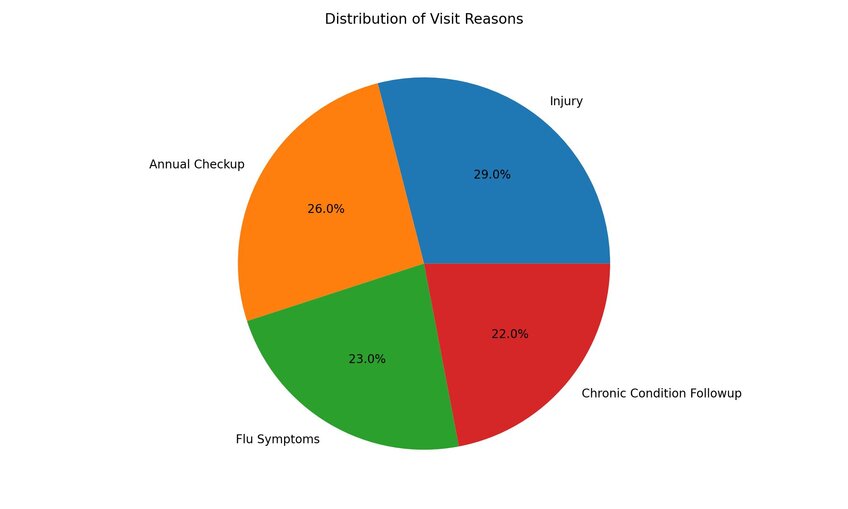 Pie chart for use in healthcare, created by Julius AI