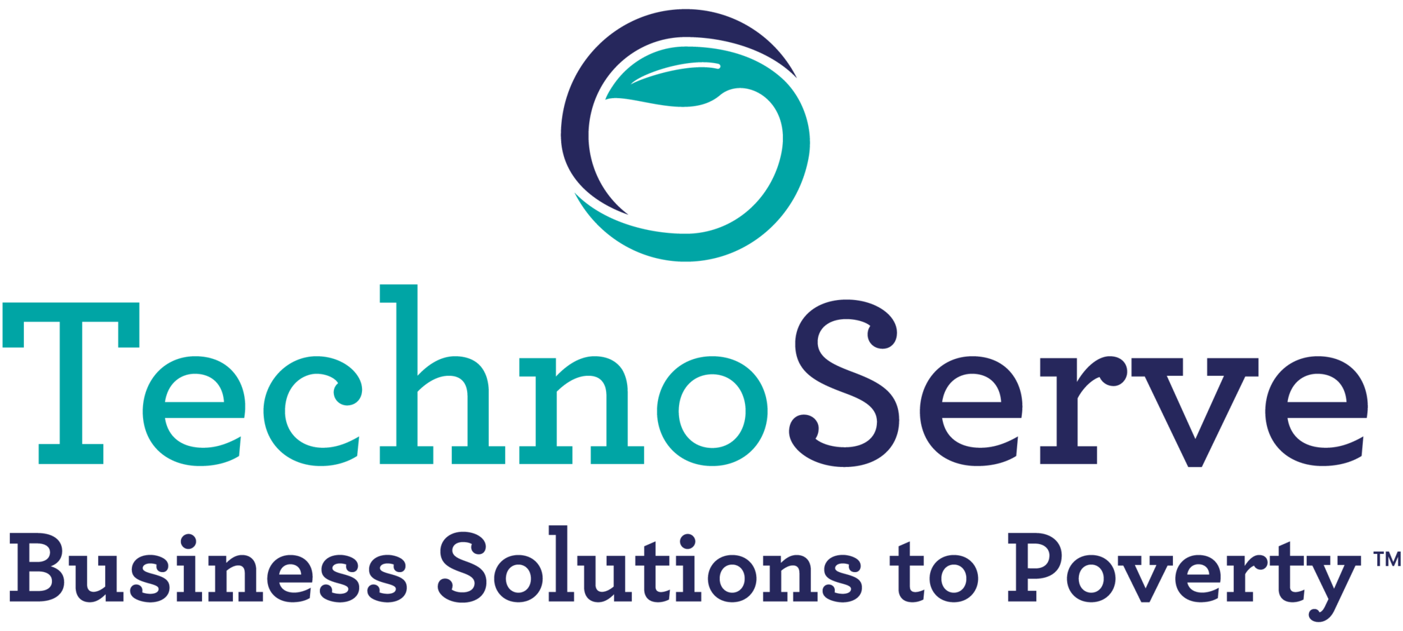 Techno Serve logo