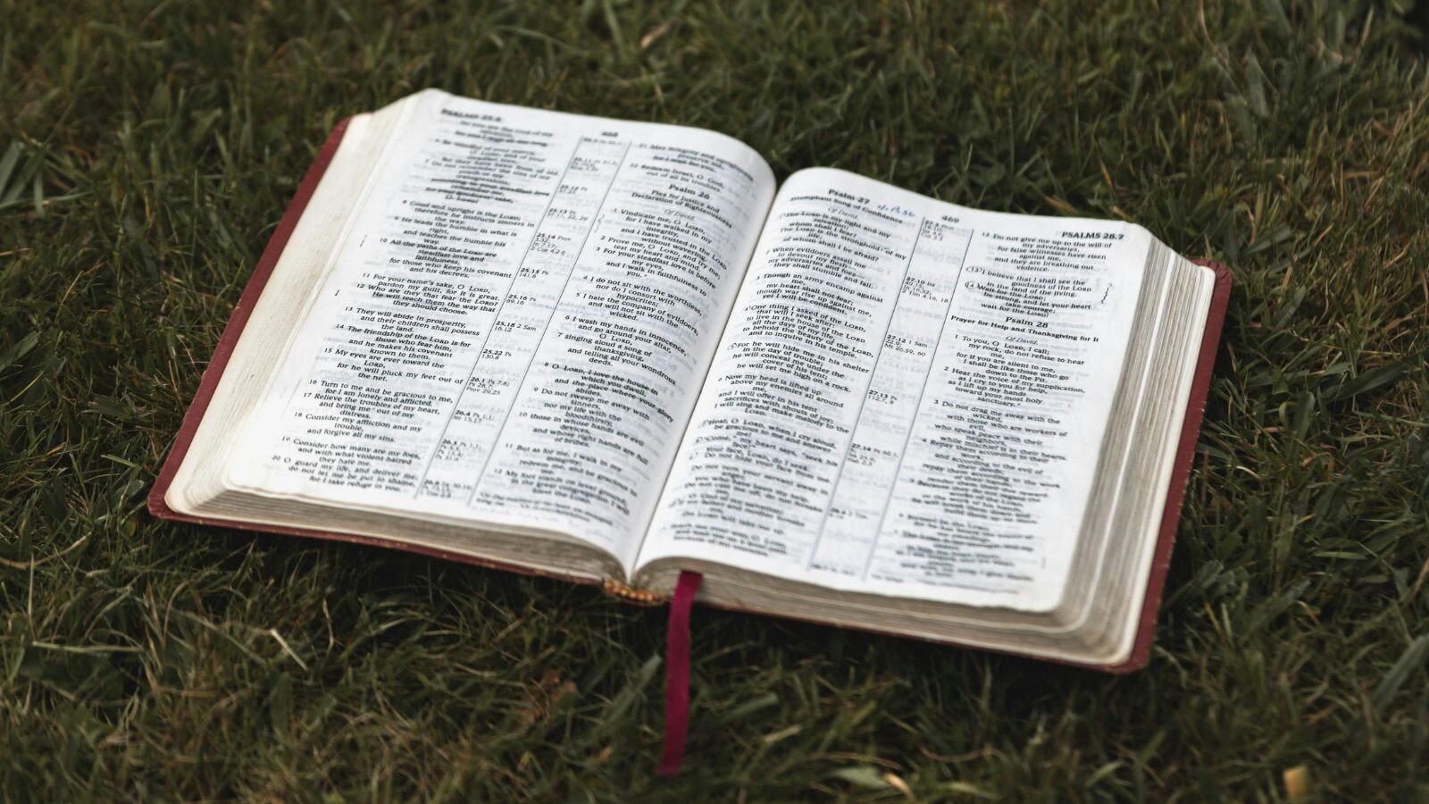 How to Read the Bible