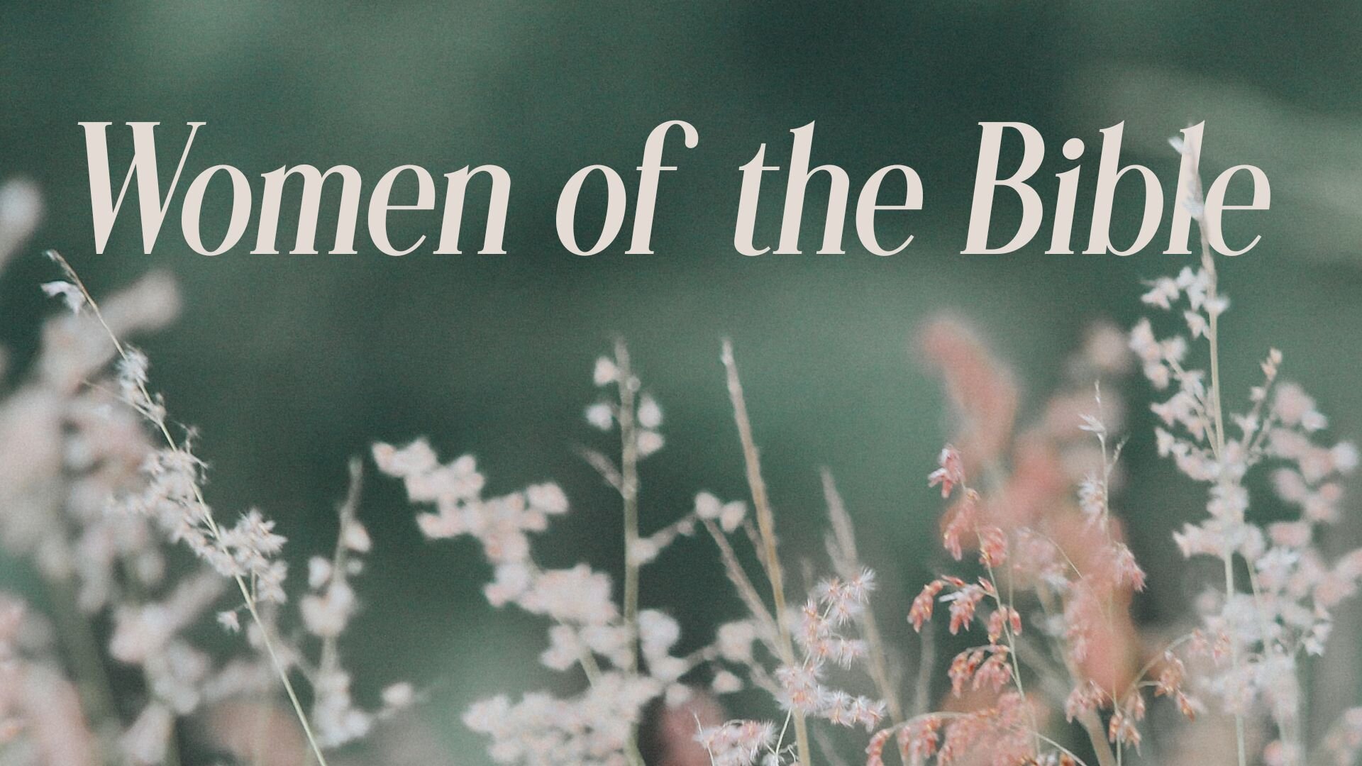 Women of the Bible Devotional Series
