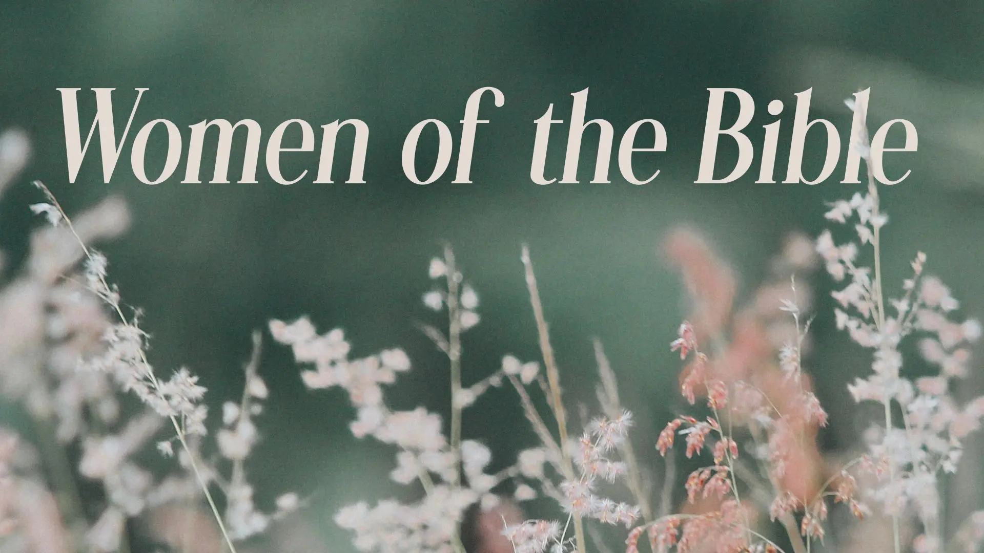 Women of the Bible Devotional Series