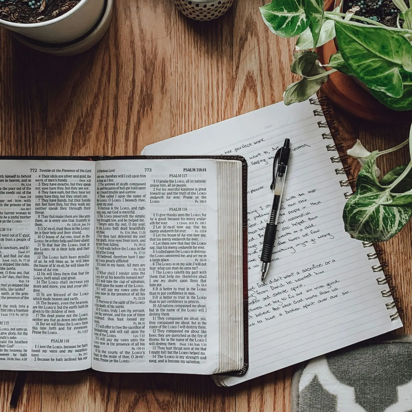 Scripture Lists