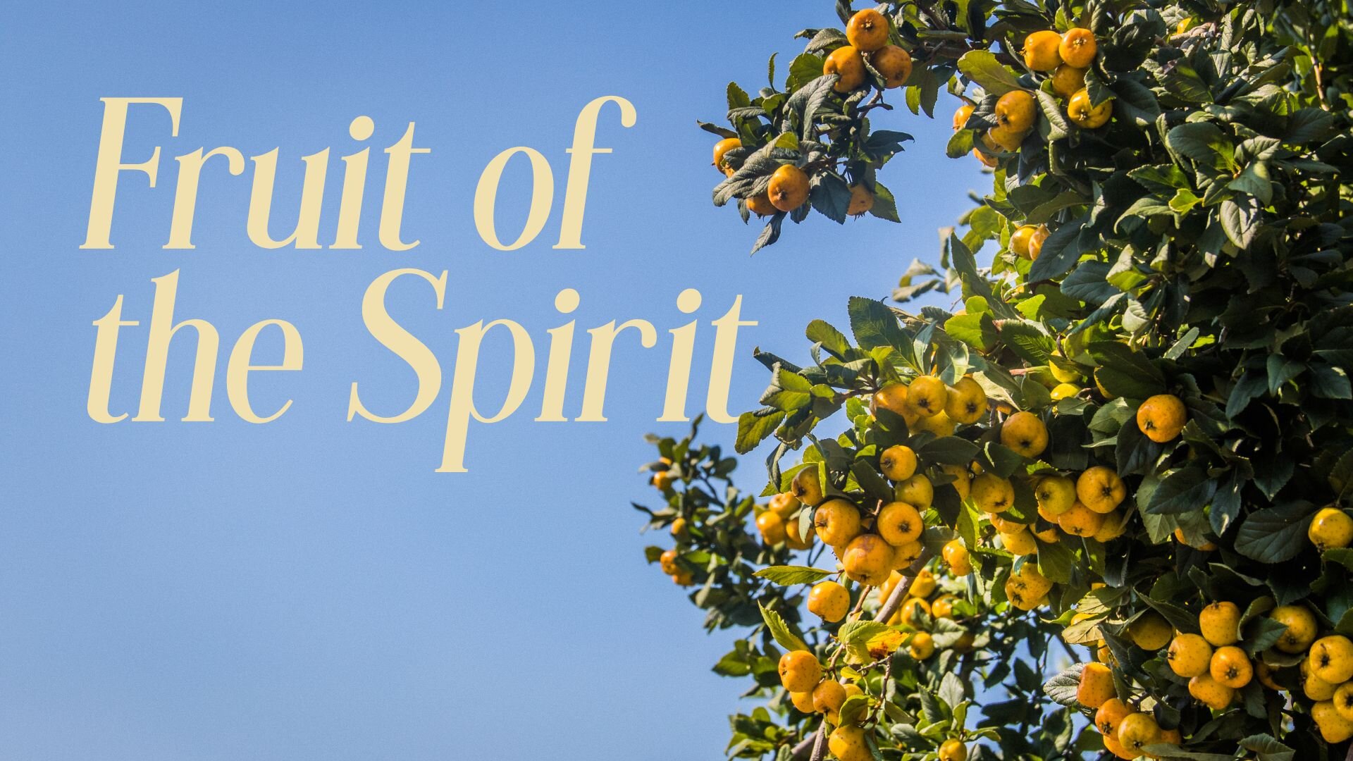 Fruit of the Spirit Devotional Series