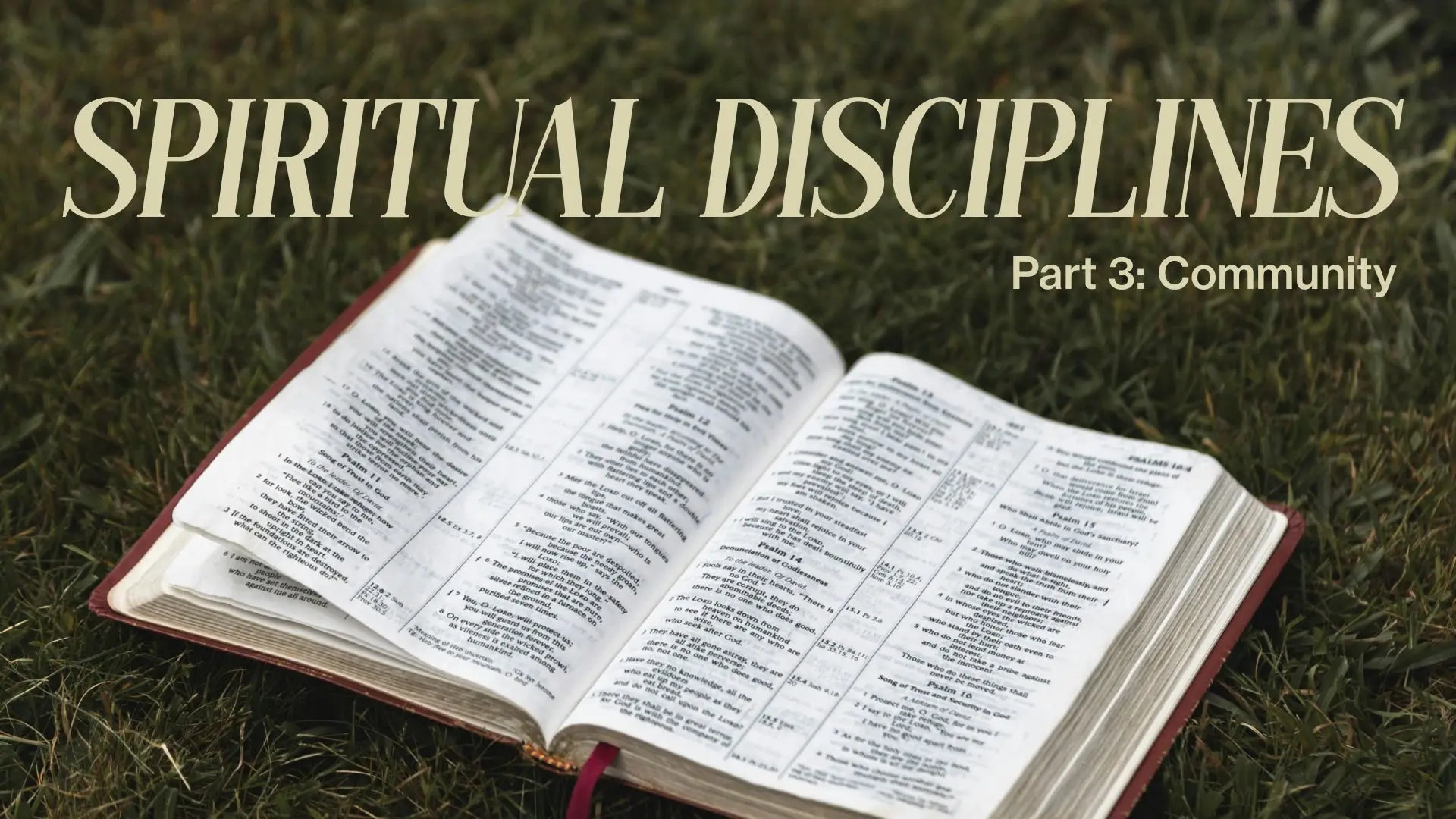 bible open on grass with text "Spiritual Disciplines, Part 3: Community"