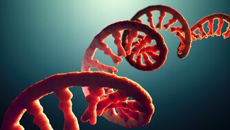 An illustration of a vibrant RNA strand, representing the role of reverse transcriptase enzymes in standard cDNA synthesis and RT-PCR solutions