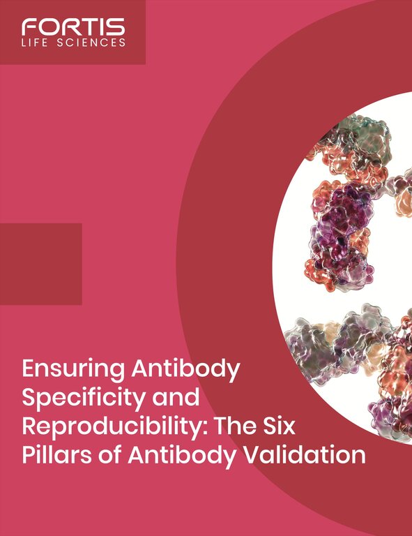 Fortis Life Sciences guide on antibody specificity and reproducibility: The Six Pillars of Antibody Validation.