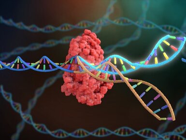 Visual representation of DNA polymerases interacting with DNA strands, showcasing their application in routine PCR and high-fidelity amplification.