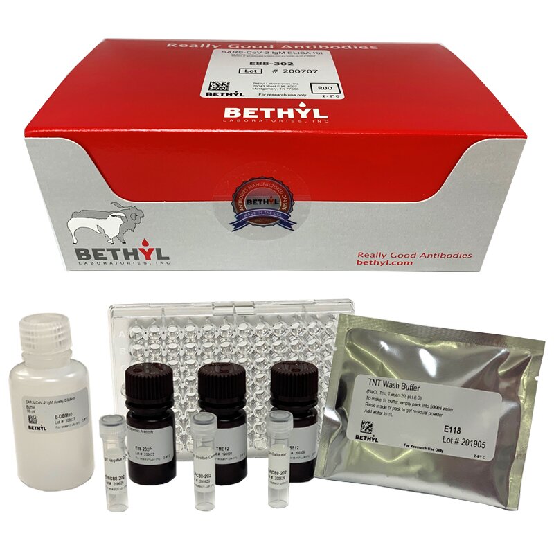 Bethyl Laboratories SARS-CoV-2 IgM ELISA Kit with reagent vials and microplate