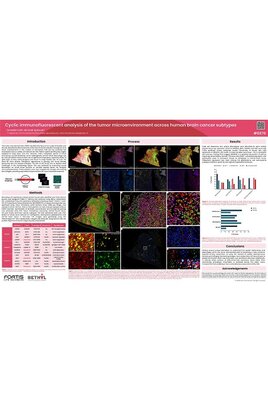 AbNano™ Anti-T-cell VHH Library Poster: Immune-Derived VHHs for Immuno-Oncology Research