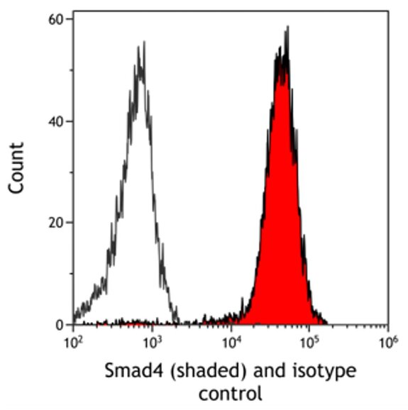 Flow cytometry histogram comparing Smad4 antibody staining (shaded red) versus isotype control (unshaded).