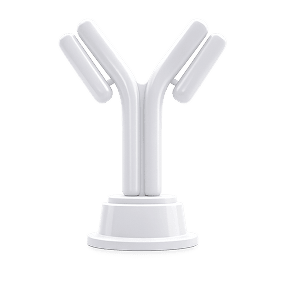 White Y-shaped antibody structure illustration on a gray background