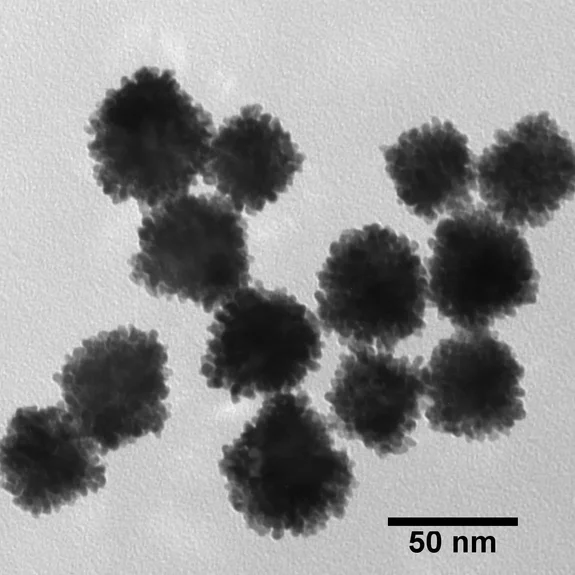 TEM image of clustered spherical nanoparticles with rough surfaces, shown at a 50 nm scale.
