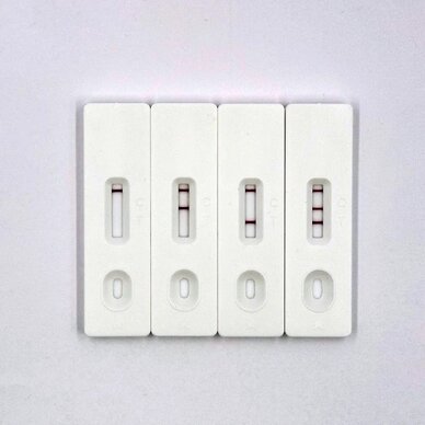 Photograph showcasing the AmpliDetect Multiplex Assay lateral flow kit, emphasizing its advanced technology for multiplexed detection.