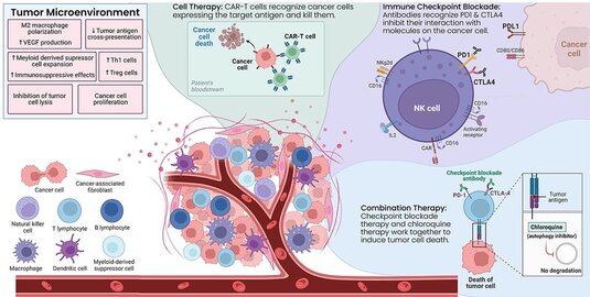Diagram of cancer immunotherapy showing tumor microenvironment, CAR-T cell therapy, immune checkpoint blockade, and combination therapy.