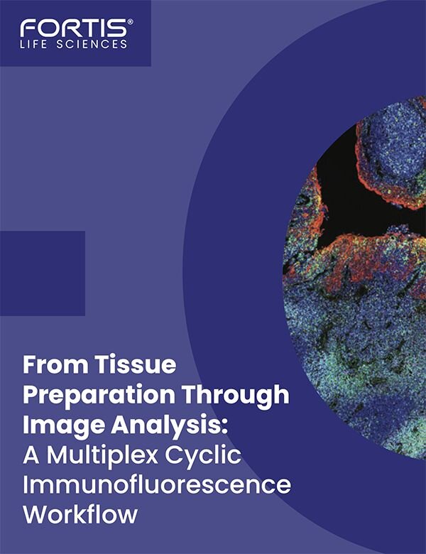 Fortis Life Sciences graphic on multiplex cyclic immunofluorescence workflow from tissue preparation to image analysis whitepaper