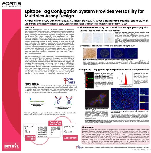 Epitope tag conjugation system poster showing antibody conjugation data for multiplex assay design across flow cytometry, IHC, and IF.