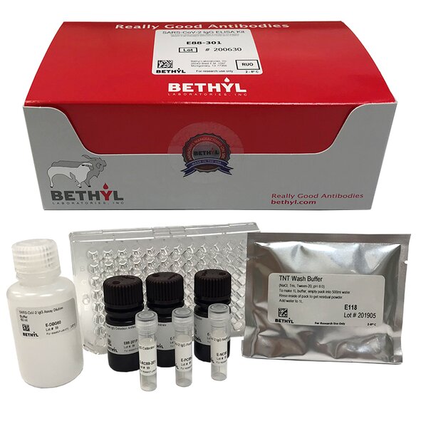 Bethyl Laboratories SARS-CoV-2 IgG ELISA Kit with reagent vials and microplate
