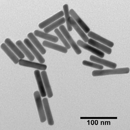 Transmission electron microscopy (TEM) image of rod-shaped nanoparticles with a 100 nm scale bar.