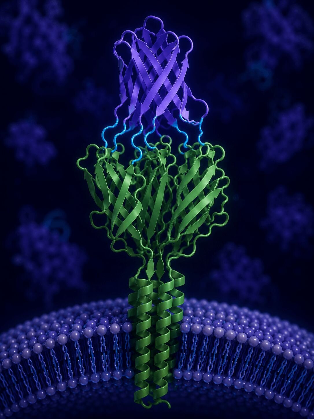 Anti-NK-Cell Library