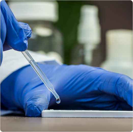 Gloved hand applying a drop of liquid with a pipette onto a test strip.