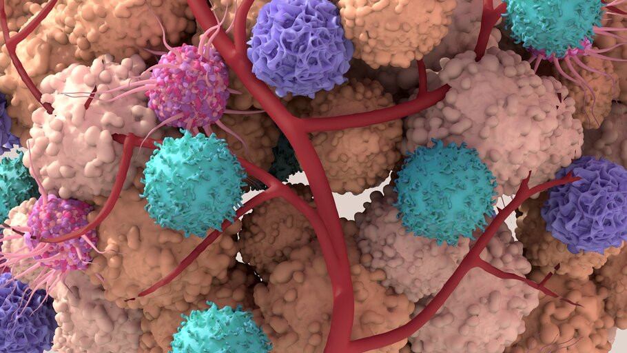 The tumor microenvironment is represented by cells in various pastel colors, with a red blood vessel weaving through.