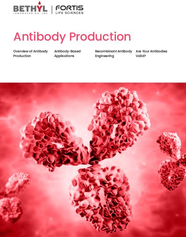 Cover of the Antibody Production eBook by Fortis Life Sciences, featuring Y-shaped antibody molecules against a red background.