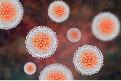 3D render of the Hepatitis C Virus (HCV)