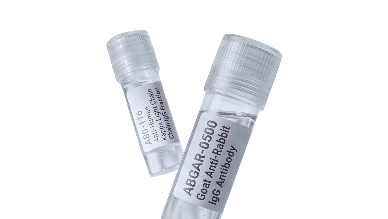 Fortis antibody box