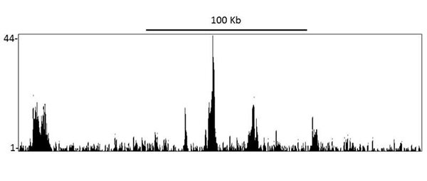 Genome browser–style peak track showing signal intensity across a 100 kb region