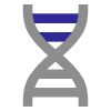 Icon of a DNA double helix with gray strands and dark blue horizontal base pairs.