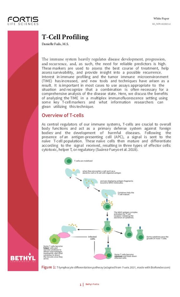 Fortis Life Sciences white paper ‘T-Cell Profiling’ with a T-cell differentiation diagram