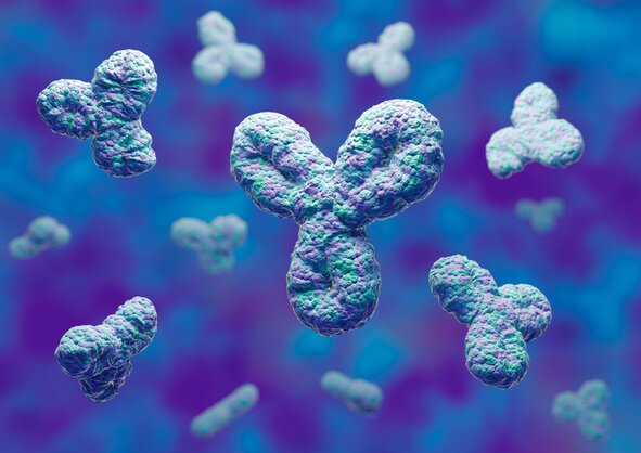 3D illustration of antibodies (immunoglobulins) floating against a blue and purple background, representing immune response.