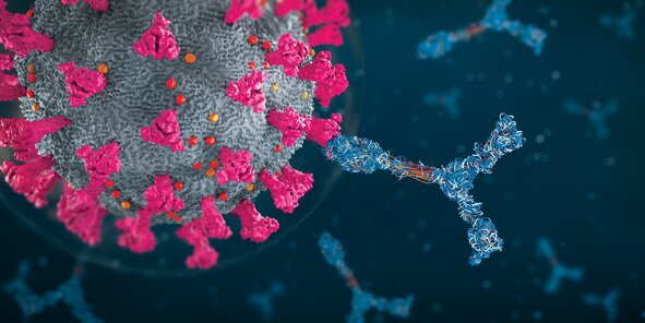 3D illustration of antibodies binding to viral spike proteins, representing immune defense and infection neutralization.