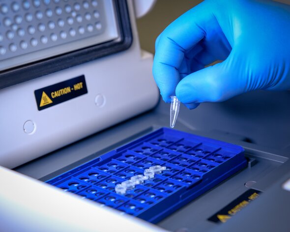 Close up image of scientist hand loading reaction tubes in PCR machine