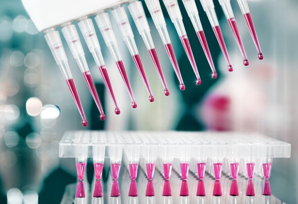 Image showing a multi-channel pipette dispensing liquid into a laboratory plate.