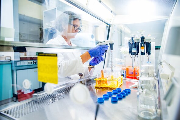 Researchers using validated antibodies and antigens to strengthen diagnostic and therapeutic programs