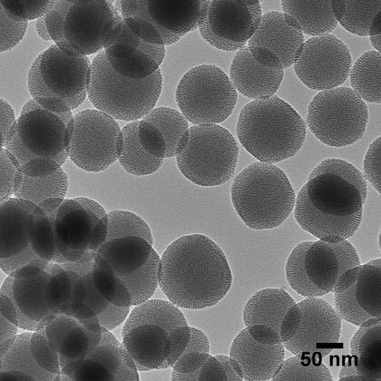 Transmission electron microscopy (TEM) image showing spherical nanoparticles with a scale bar of 50 nm.