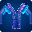 Bethyl Recombinant Monoclonal Antibodies