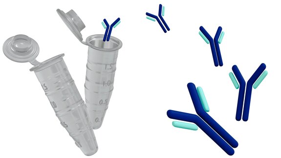 Illustration of antibodies with laboratory microcentrifuge tubes, symbolizing antibody research and storage.