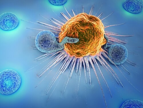 Oncology Antibodies