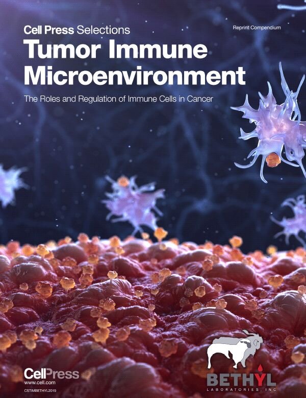 Ebook Cover image of Cell Press Selections on Tumor Immune Microenvironment showing cancer and immune cells.