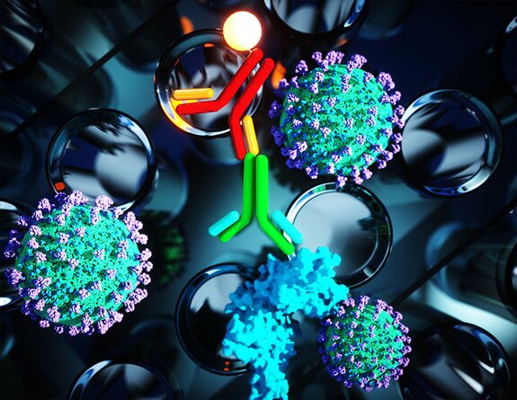 3D illustration of antibodies targeting coronavirus particles, representing immune defense and therapeutic development.