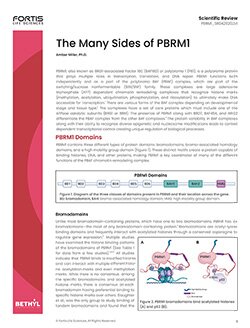 Cover of a Fortis Life Sciences scientific review titled ‘The Many Sides of PBRM1,’ with figures and diagrams
