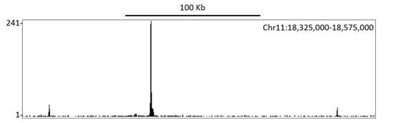 Genomic peak plot showing enrichment at Chr11:18,325,000–18,575,000 with peak intensity across 100 Kb region.