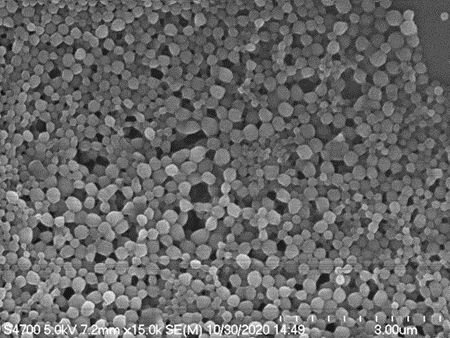 Scanning electron microscopy (SEM) image showing densely packed spherical nanoparticles with a 3.00 µm scale bar.